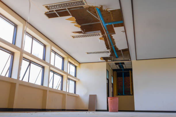 Best Basement water damage restoration  in Hannibal, MO