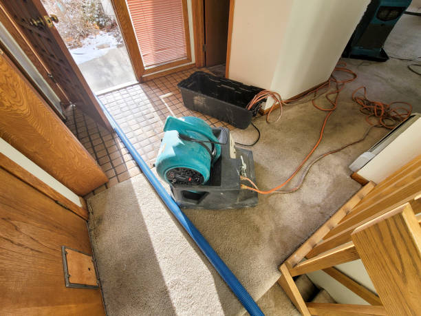 Local water damage restoration in Hannibal, MO