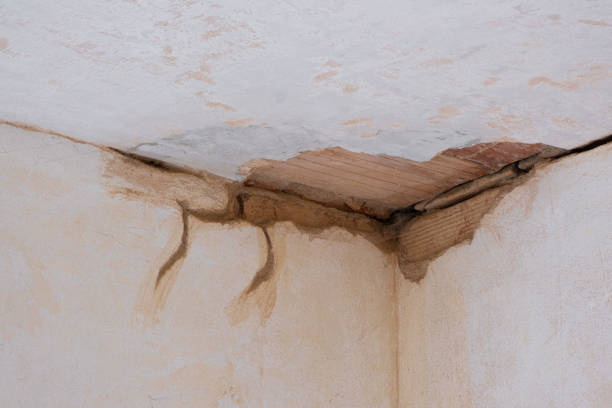 Best Flood restoration services  in Hannibal, MO