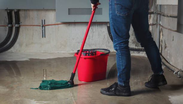 Best 24/7 water damage repair  in Hannibal, MO