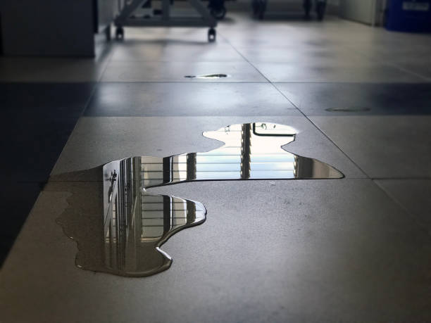 Best Carpet water damage restoration  in Hannibal, MO