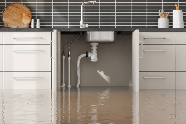 Best Sewage cleanup and water damage restoration  in Hannibal, MO