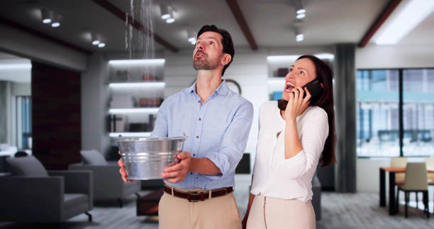 Best Water damage cleanup near me  in Hannibal, MO